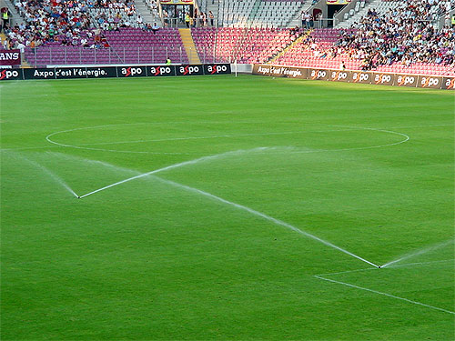 DSC04995.jpg