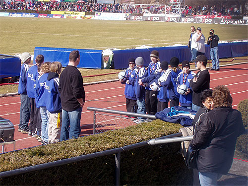 P3130010.JPG
