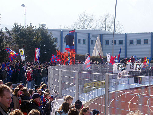 P3130015.JPG
