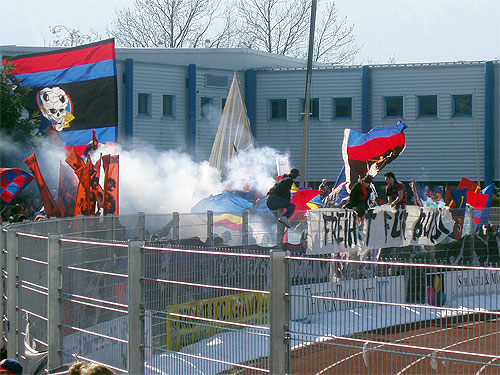 P3130017.JPG