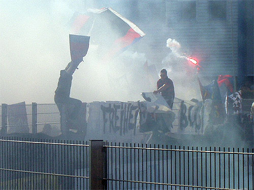 P3130030.JPG