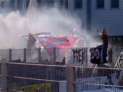 P3130040.JPG