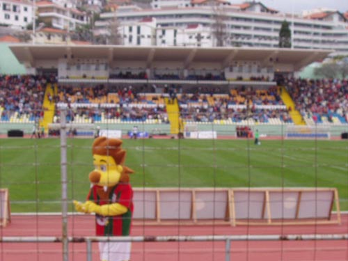 mar aca 06