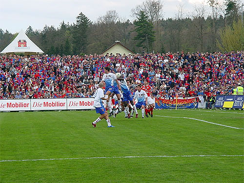 DSC02097-01.jpg