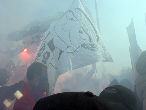 DSC01510.jpg