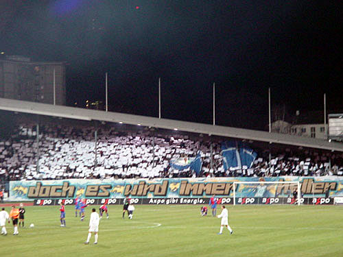 DSC01329.jpg