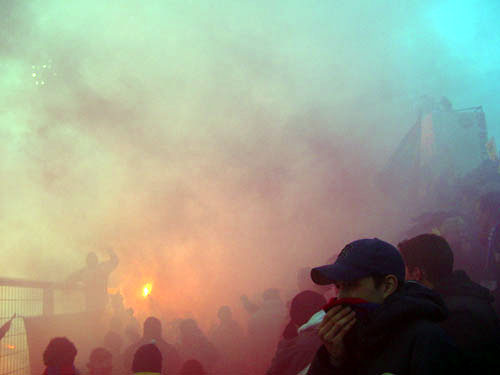 DSC08846.jpg