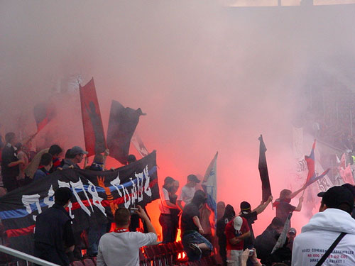 DSC02895.jpg