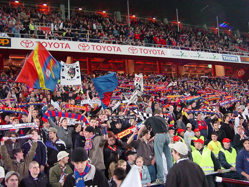 DSC02767.jpg