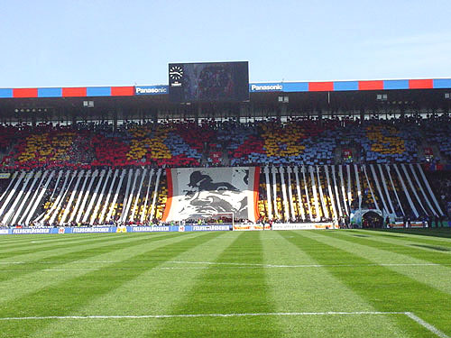 DSC00775.jpg