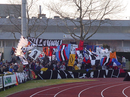 DSC08698.jpg