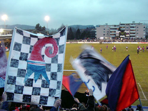 DSC06115.jpg