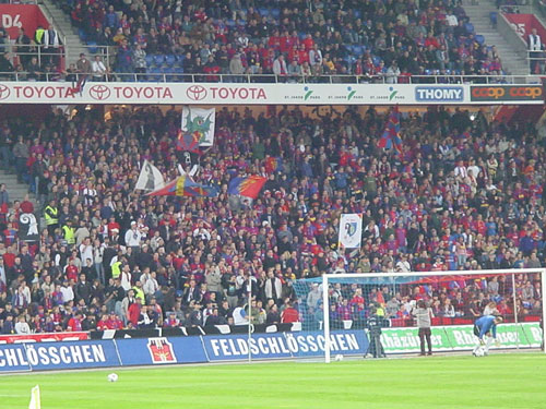 DSC02380.jpg