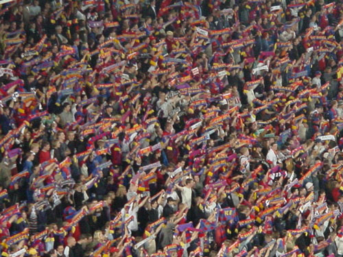 DSC01510.jpg