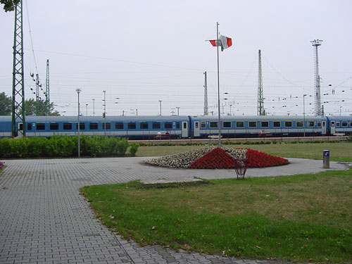 DSC00463.jpg