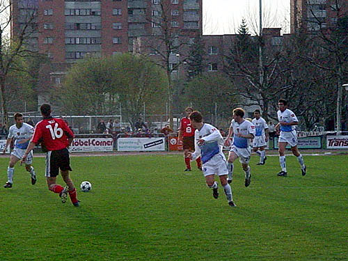 DSC09919.jpg
