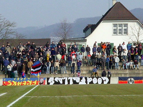 DSC07509.jpg