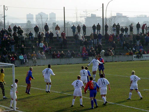 DSC07524.jpg