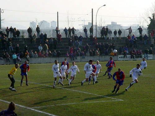 DSC07536.jpg