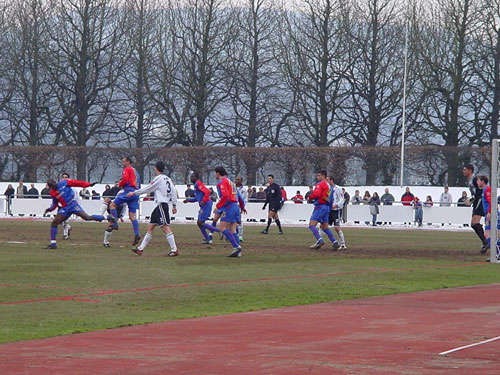 DSC07305.jpg