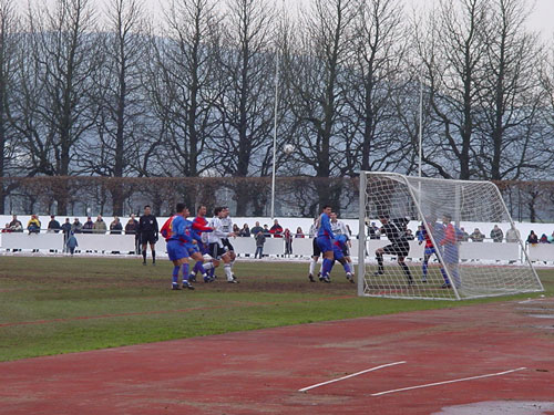 DSC07310.jpg