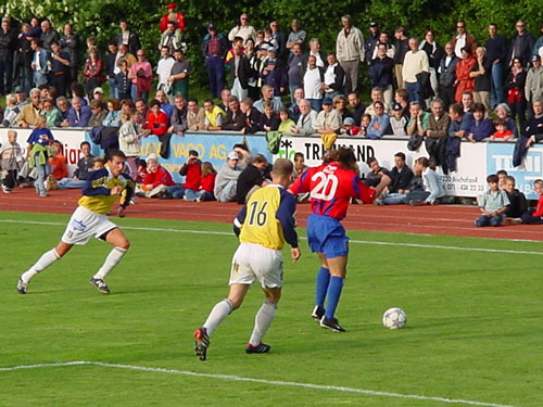 DSC00402.jpg