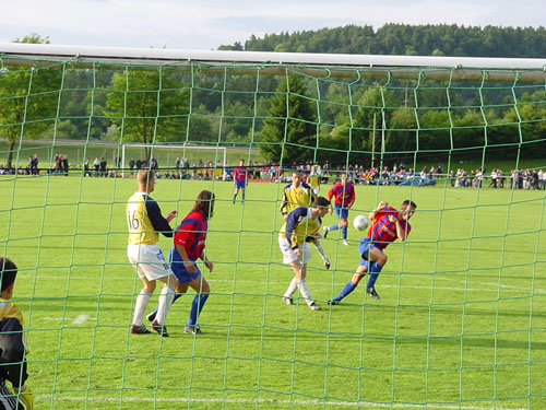 DSC00414.jpg
