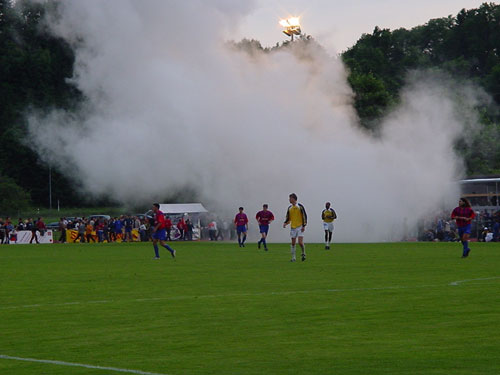 DSC00445.jpg
