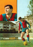 Heinz Blumer