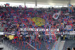 Young Boys - FC Basel 1:1