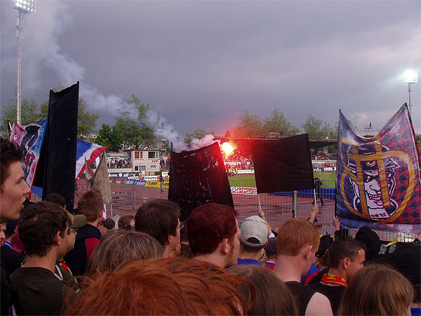 P4290038