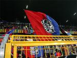 IMG 7450