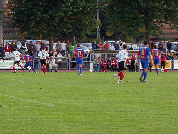 P8160051.JPG