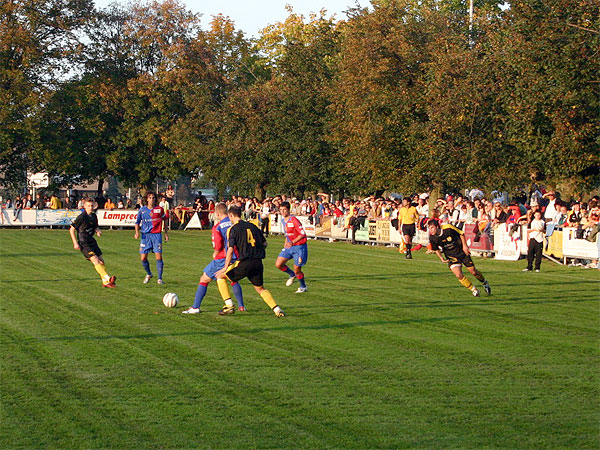 IMG_8268.JPG